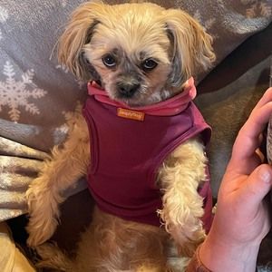 Meet your Posher, Tony